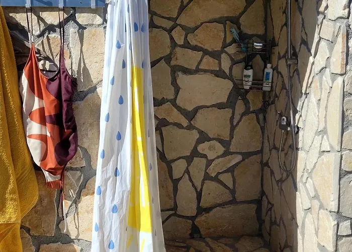 Olive Shared Pool Pirovac