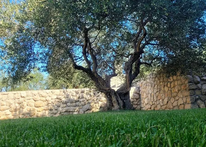 Maria ピロヴァッツ